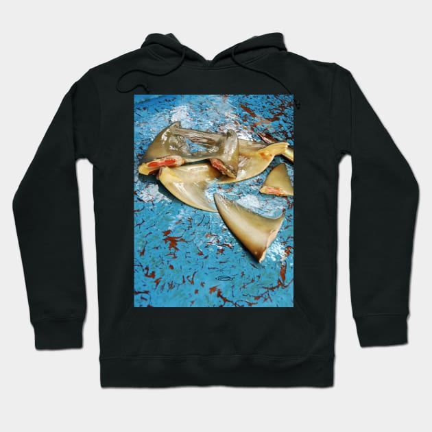 BLOOD ON BLUE VEINS Hoodie by dumbodancer